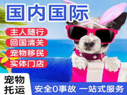 海口空运国际宠物托运 【国